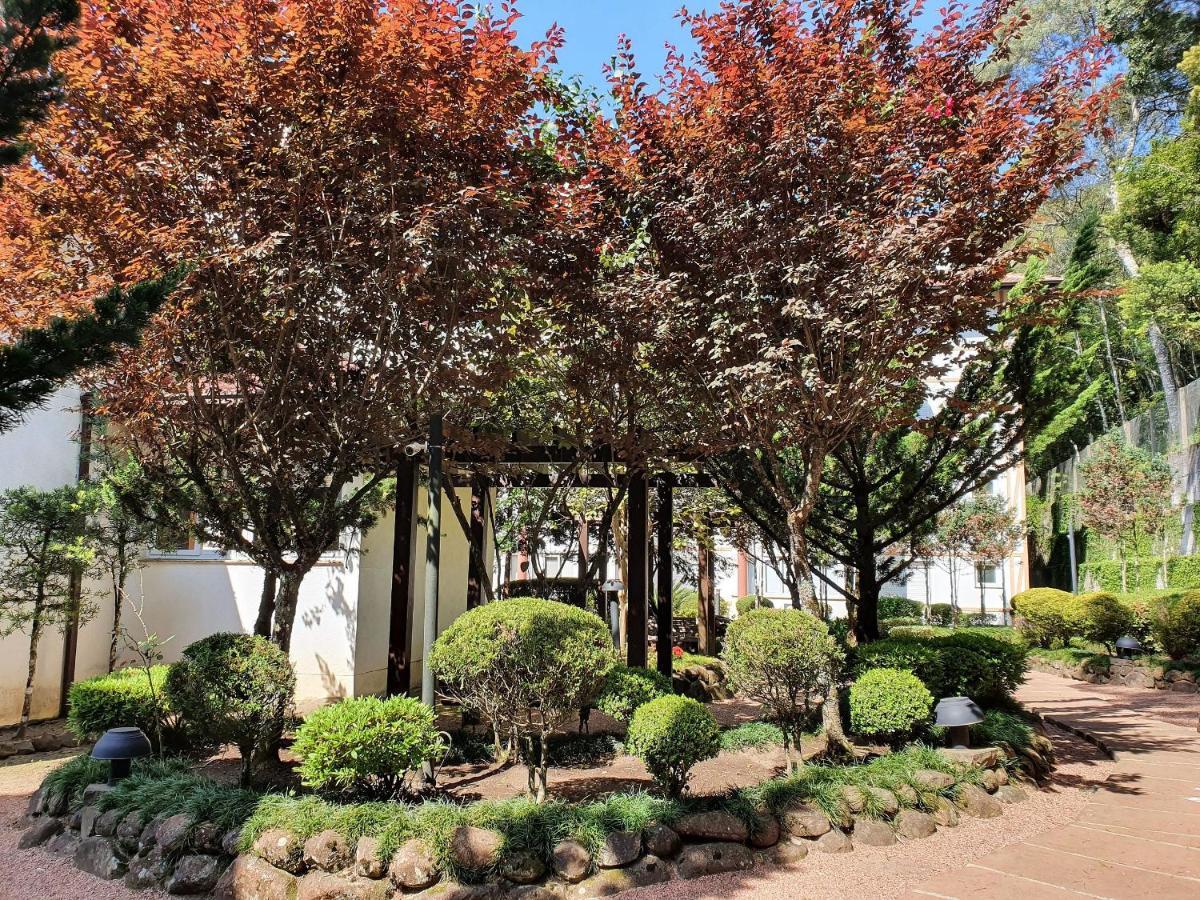 Apto No Centro De Gramado Com Piscina Termica Εξωτερικό φωτογραφία